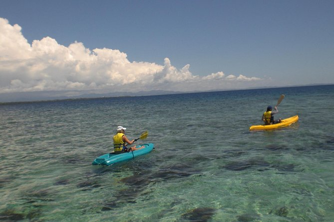 Fijian Islands and Snorkel Full-Day Whales Tale Cruise Including Beach BBQ Lunch - Booking and Cancellation Policy