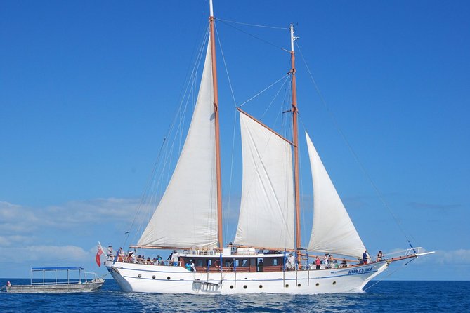 Fijian Islands and Snorkel Full-Day Whales Tale Cruise Including Beach BBQ Lunch - Sail Through Mamanuca Islands
