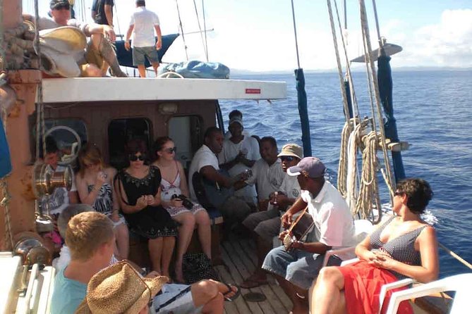 Fijian Islands and Snorkel Full-Day Whales Tale Cruise Including Beach BBQ Lunch - Tour Highlights and Reviews