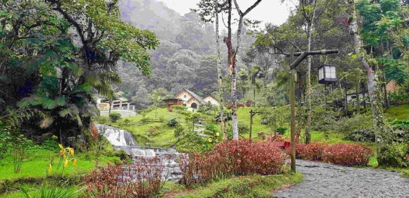 Filandia and Santa Rosa Thermal Pools - Guided Tour