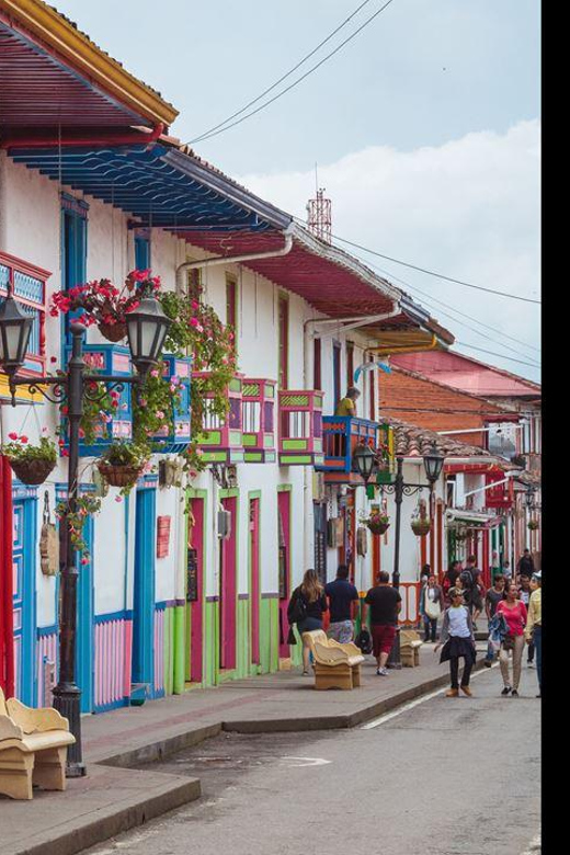 Filandia, Salento and Cocora Valley Tour - Itinerary Details