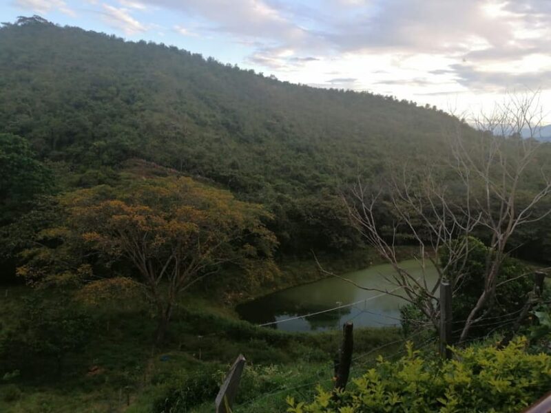 Finca Day Trip Near Neiva - Experience Highlights