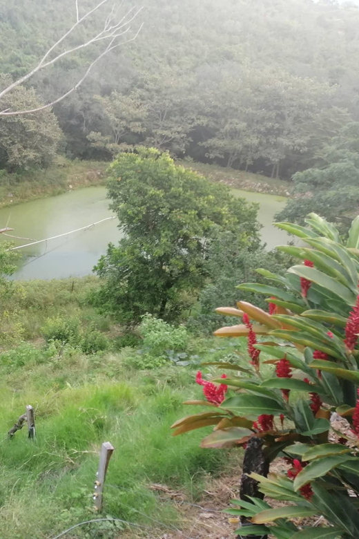 Finca Day Trip Near Neiva - Activities and Amenities