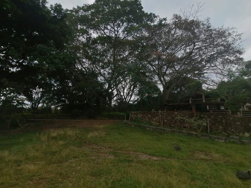 Finca Day Trip Near Neiva - Accessibility and Restrictions