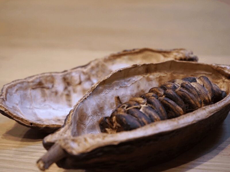 Fine Chocolate Tasting in Turin - Key Points