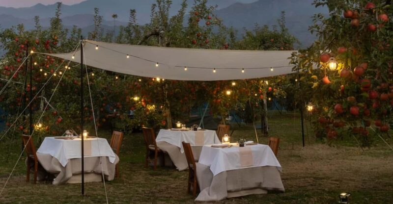 Fine Dining Experience Inside an Orchard in Nagano - Key Points