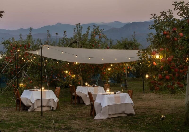 Fine Dining Experience Inside an Orchard in Nagano - Seasonal Fruit Tasting