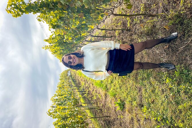 Fine Wine Tastings in São Roque - Tour With Local Guides - Capturing Memorable Moments
