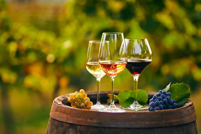 Finest Wines of Montenegro Private Tour With Lake Cruise - Meeting and Pickup Information