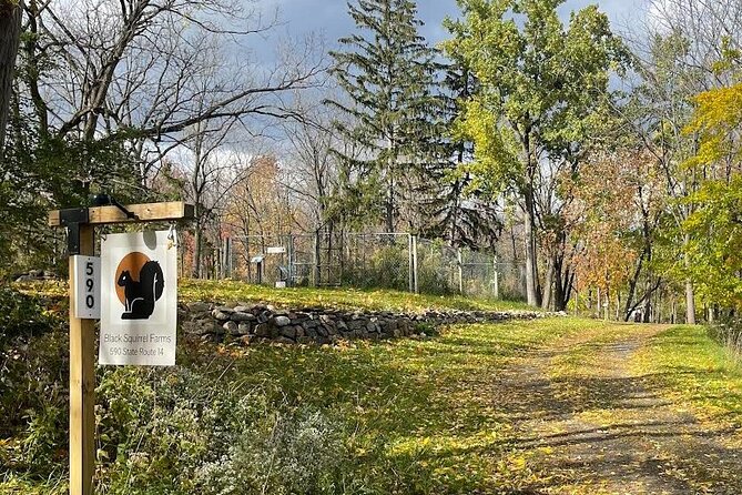 Finger Lakes Guided Outdoor Black Walnut Tour With Tasting - Key Points
