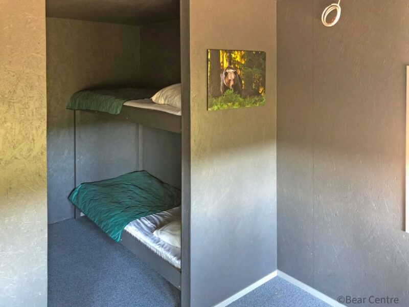 Finland: Bear Watching, Night Trip - Accommodations and Amenities