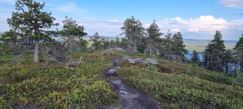 Finnish Lapland: Midnight Sun Walk in Riisitunturi Park - Good To Know