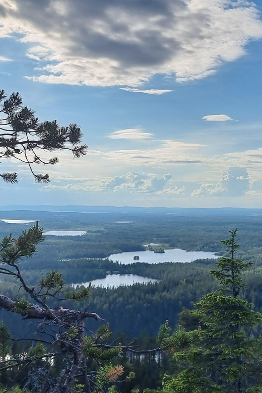 Finnish Lapland: Midnight Sun Walk in Riisitunturi Park - Important Information and Recommendations