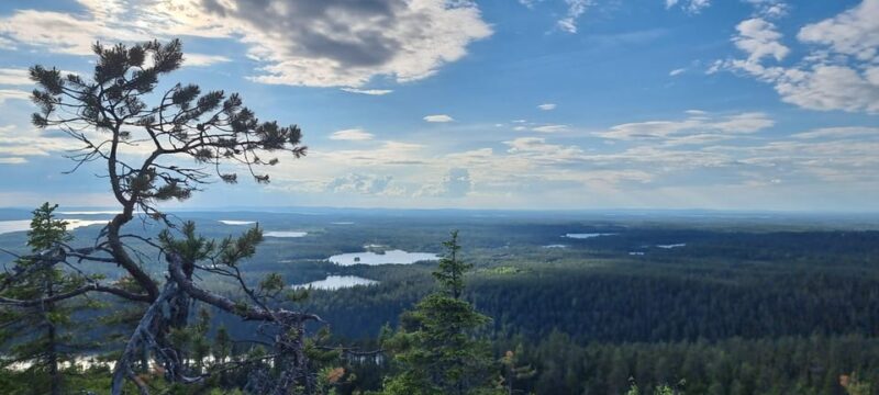 Finnish Lapland: Midnight Sun Walk in Riisitunturi Park - Contact and Additional Information