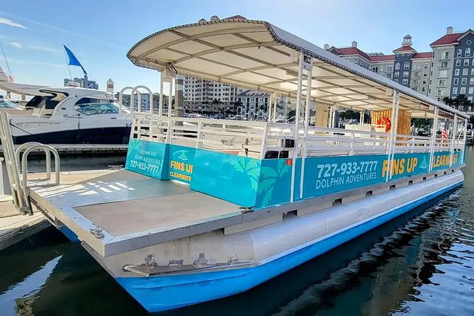 Fins Up - Dolphin & Island Sandbar Adventure in Clearwater Beach - Accessibility and Participation