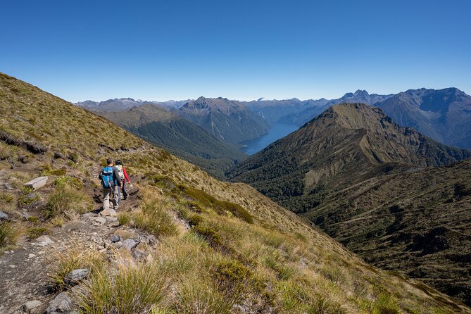 Fiordland Heli-hike - Physical Requirements and Accessibility