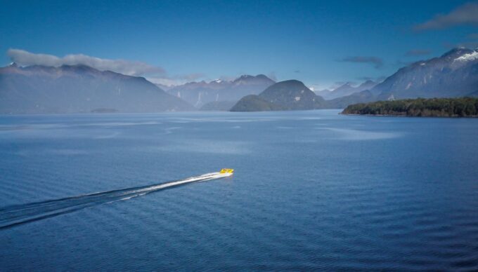 Fiordland: Jet Boat & Nature Walk Experience From Te Anau - Thrilling Jet Boating Adventure