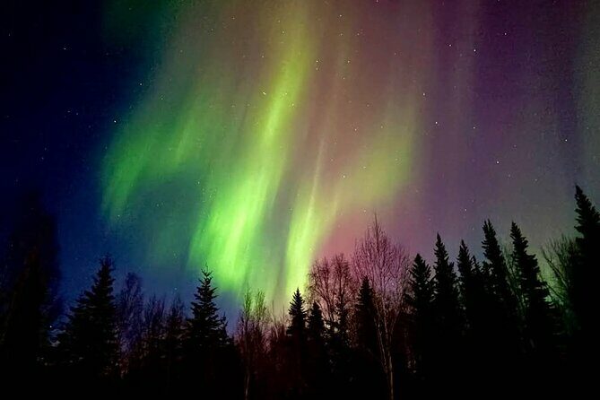 Fire & Ice: Chena Hot Springs, Ice Museum + Aurora Adventure - Chena Hot Springs Resort: A Haven for Relaxation