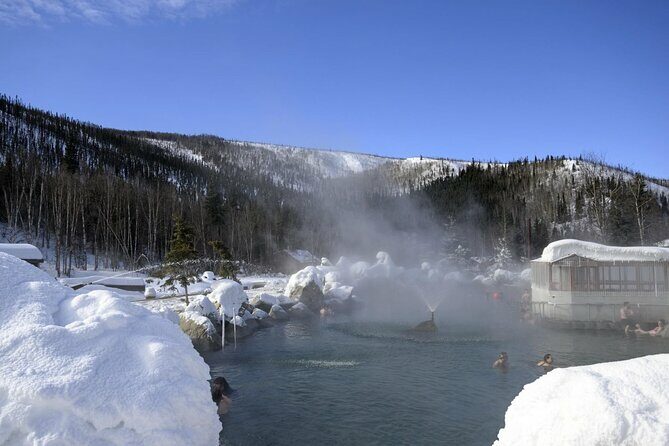 Fire & Ice: Chena Hot Springs, Ice Museum + Aurora Adventure - Aurora Viewing: The Main Event