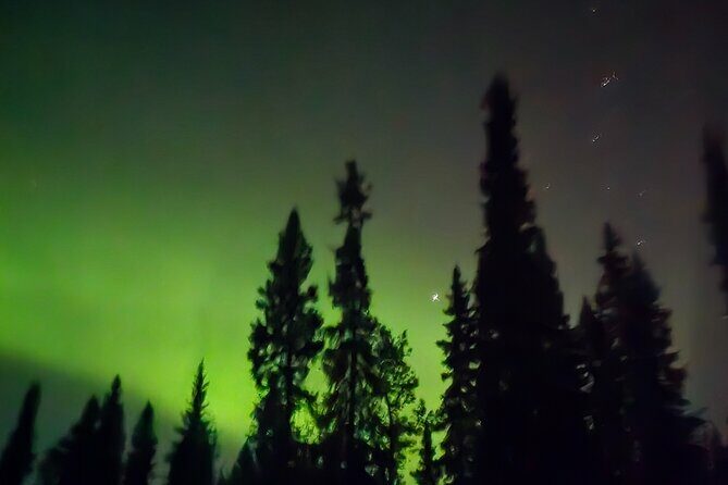 Fire & Ice: Chena Hot Springs, Ice Museum + Aurora Adventure - The Overall Experience