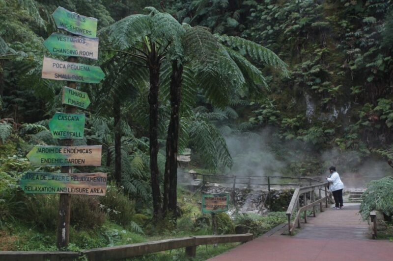 Fire Lake & Tea Factory & Pinneaple - Itinerary Highlights