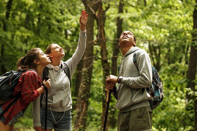 Firefly Sanctuary Tour in Puebla - Practical Tips & Considerations