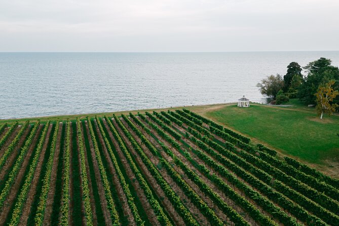 Fireside Flights Outdoor Tasting Experience - Private Tour Experience