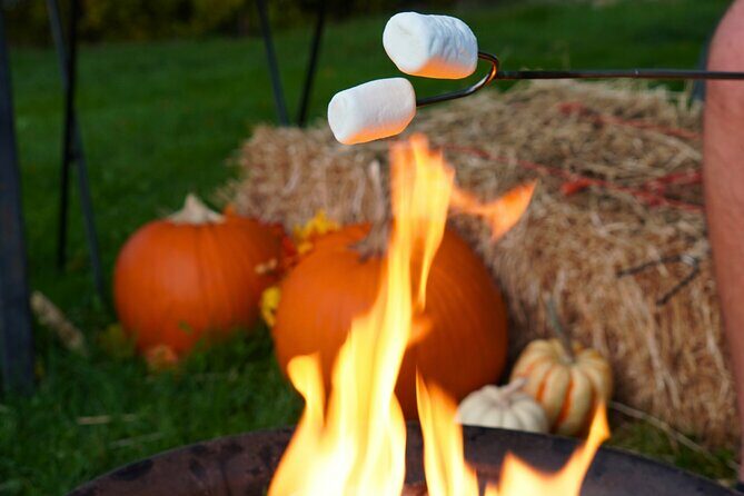 Fireside Warm-Up: Wine Tasting, S'mores & Mulled Wine in Kelowna - FAQ