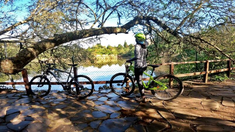 Firgas: Gran Canaria Forest Mountain Bike Tour - Key Points