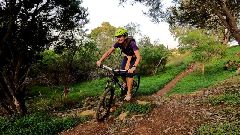 Firgas: Gran Canaria Forest Mountain Bike Tour - Highlights of the Tour