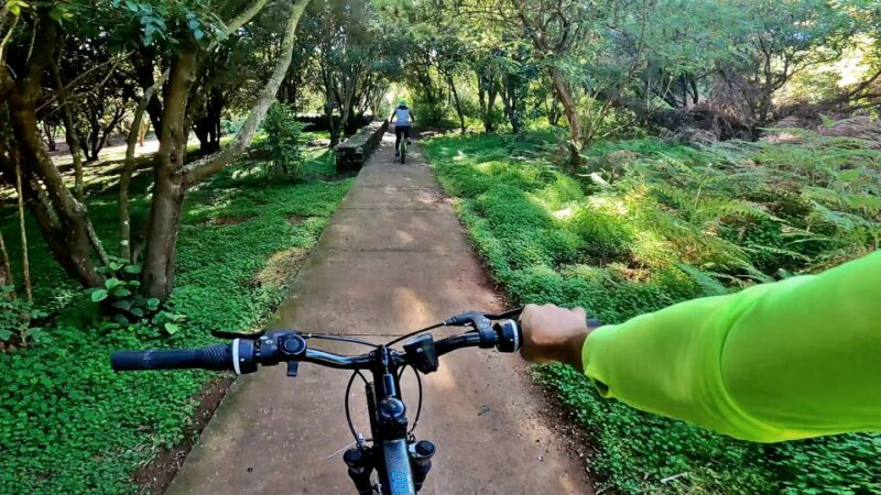 Firgas: Gran Canaria Forest Mountain Bike Tour - Whats Included