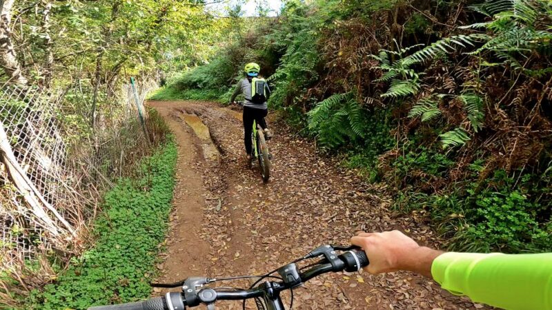 Firgas: Gran Canaria Forest Mountain Bike Tour - Who Its Not Suitable for