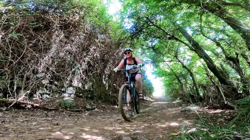 Firgas: Gran Canaria Forest Mountain Bike Tour - Meeting Point and Directions
