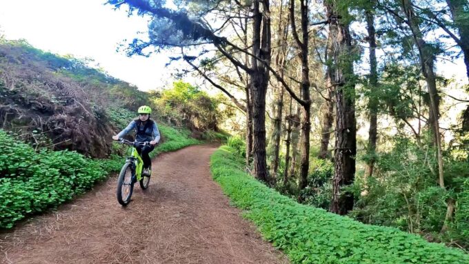 Firgas: Gran Canaria Forest Mountain Bike Tour - During the Tour