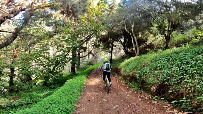 Firgas: Gran Canaria Forest Mountain Bike Tour - Frequently Asked Questions