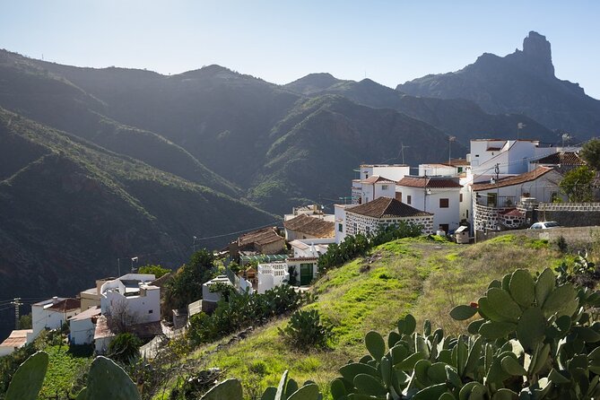 Firgas, Tejeda, Guayadeque - VIP Tour Gran Canaria - Exploring the Aloe Vera Plantation