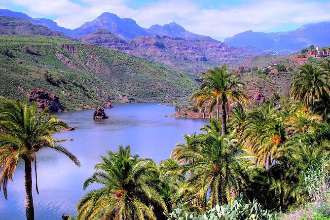 Firgas, Tejeda, Guayadeque - VIP Tour Gran Canaria - Inclusions and Logistics