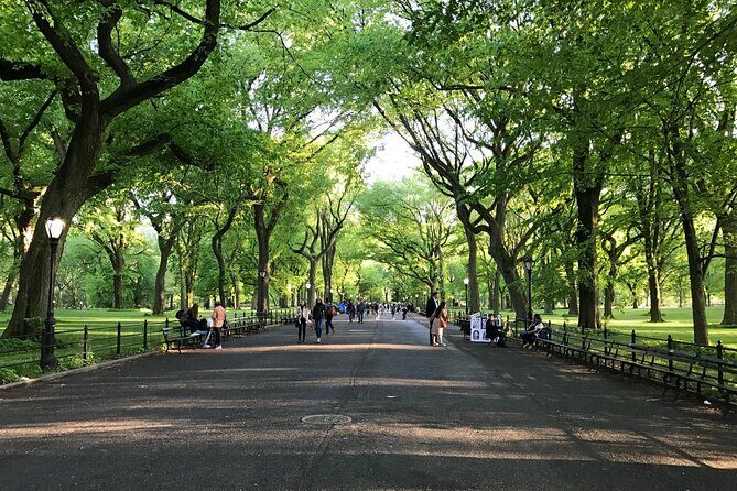 First Class Central Park Tour  Iconic Views & VIP Photo Moments - The Sum Up
