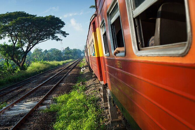 First Class Scenic Train Ticket From Kandy To Ella - What Makes This Tour Special?