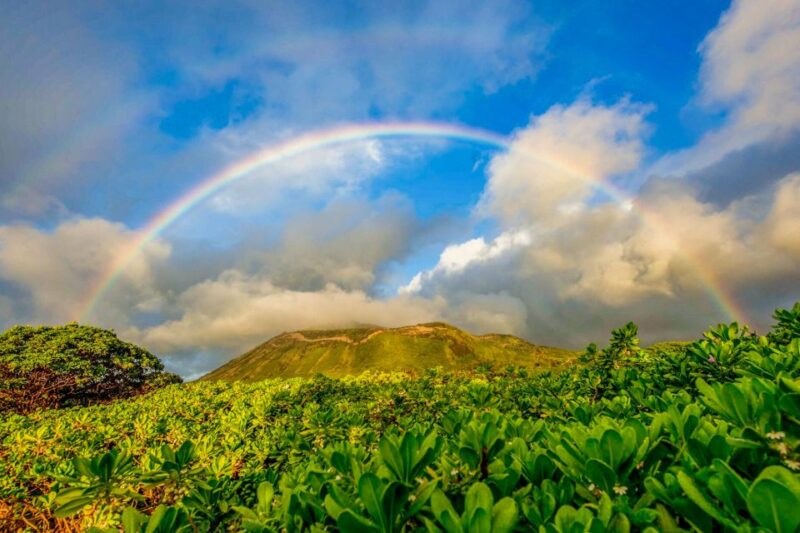 First Day Must 10-Hour Sunrise & Full Island Photo Tour - Experience and Itinerary