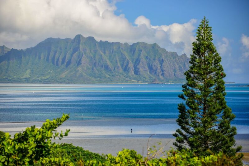 First Day Must 10-Hour Sunrise & Full Island Photo Tour - Customer Reviews and Ratings