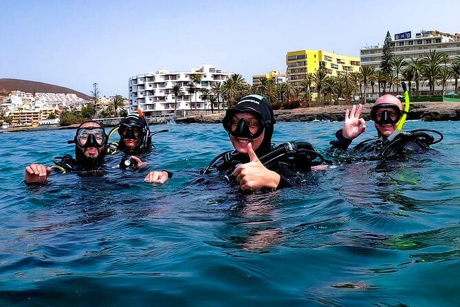 First Dive Experience in Tenerife - Pickup and Meeting Point