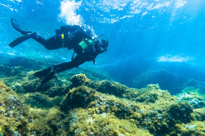 First Dive in Nice - Statue of a Diver