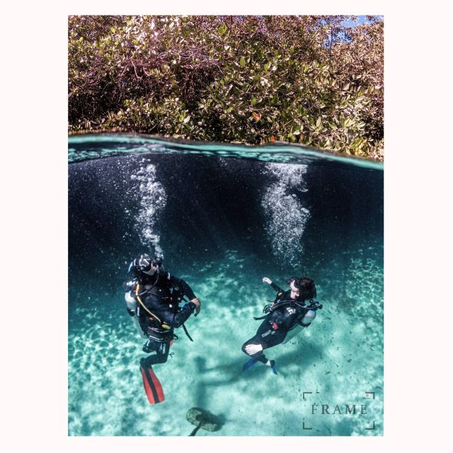 First Scuba Diving Experience in a Cenote - Diving Experience