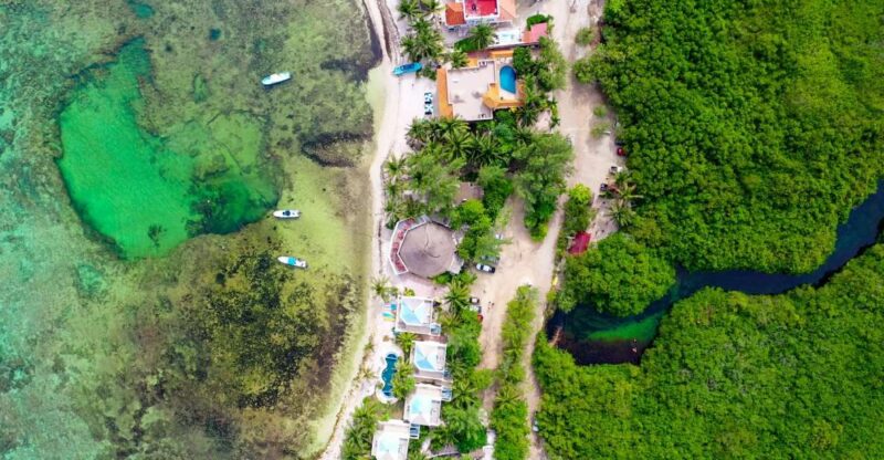 First Scuba Diving Experience in a Cenote - Important Information