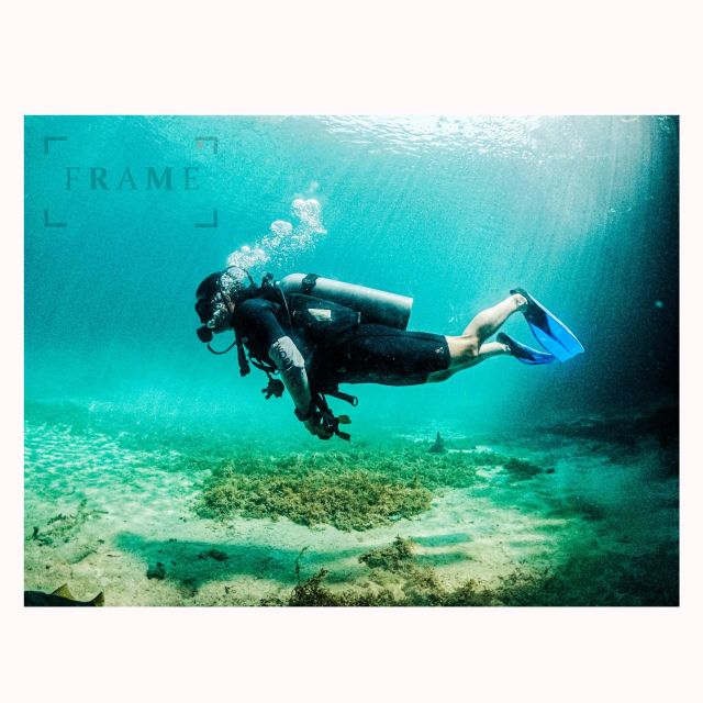 First Scuba Diving Experience in a Cenote - What to Expect