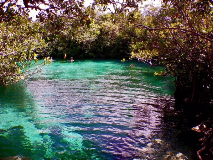 First Scuba Diving Experience in a Cenote - Cancellation Policy