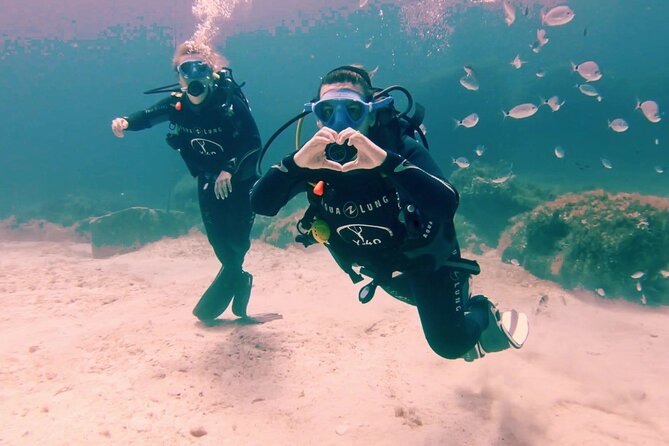 First Scuba Diving Experience With Instructor - Malta - Expertise of PADI Instructor
