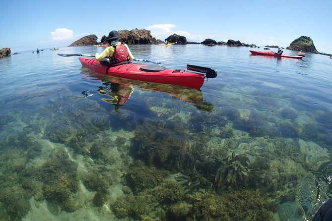 First Seakayak Tour - Meeting and Pickup Arrangements