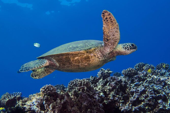 First Time Introductory Scuba Dive - Getting to the Meeting Point